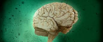 Psicología más científica