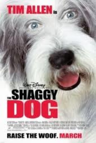 Shaggy Dog