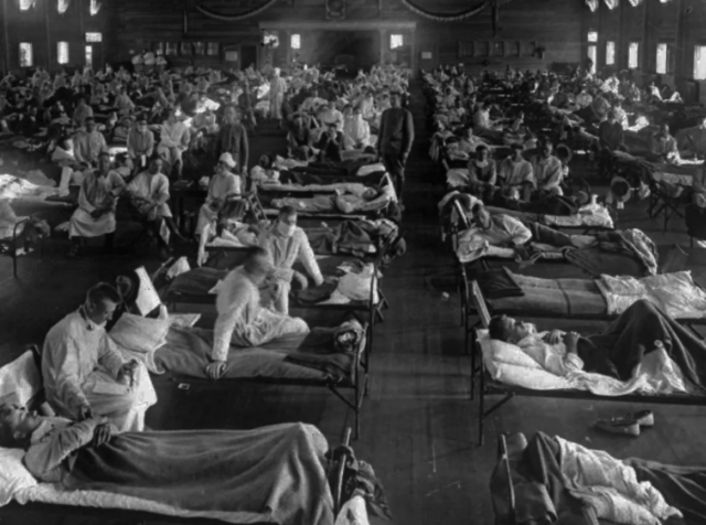 Spanish Flu Pandemic (-2, declination)