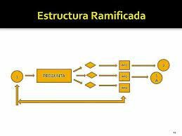 El Conductismo: Programación Ramificada