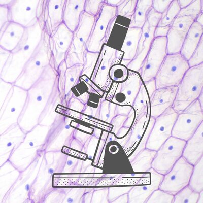 Timeline: Introducción histórica a la biología celular y la histología. (1658-2021)