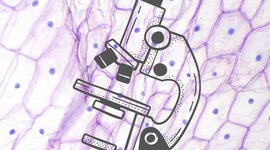 Timeline: Introducción histórica a la biología celular y la histología. (1658-2021)