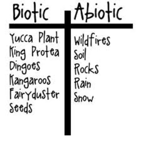 Biotic and Abiotic Factors