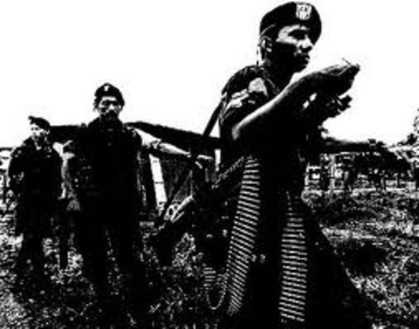 CONSOLIDACION DE LAS FARC