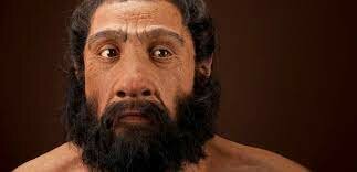 HOMO NEANDERTHALENSIS