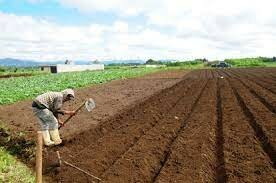 Agricultura y sostenibilidad