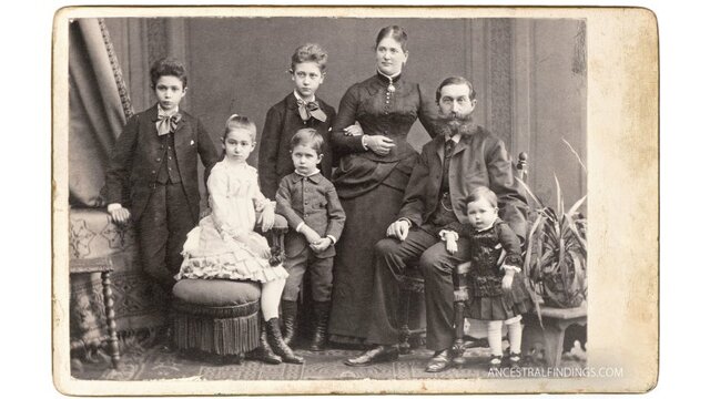 Male - 38 Female - 41