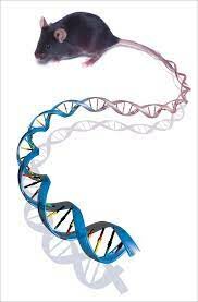 Primeros años del siglo XXI