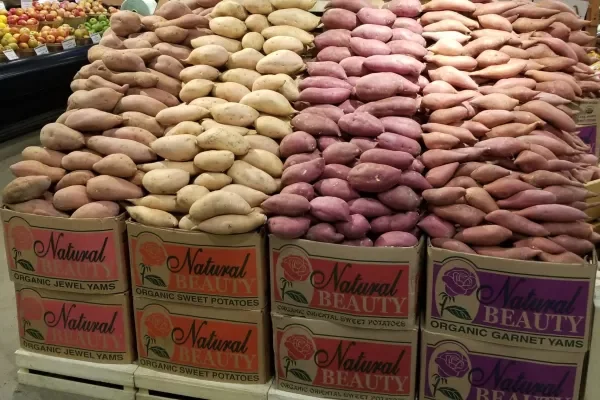 DOE Recognizes First U.S. ‘50001 facility