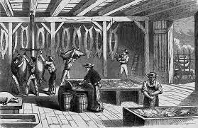 Slaughter House Cases Established