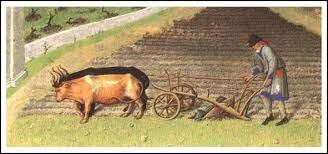 Plows Made Appearance in Mesopotamia