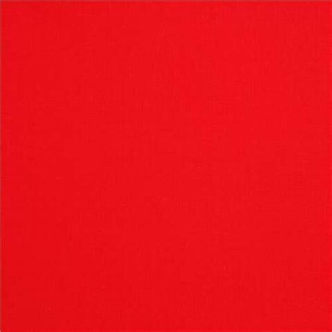 Kings of Kush control Egypt [African]