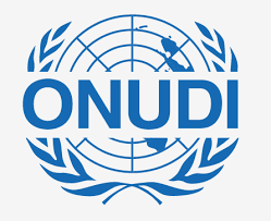 Organización de las naciones unidas para el desarrollo industrial ONUDI