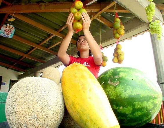 Valle del Cauca, la segunda región donde más se produce fruta en Colombia