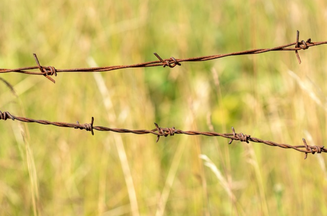 The Invention of Barbed Wired