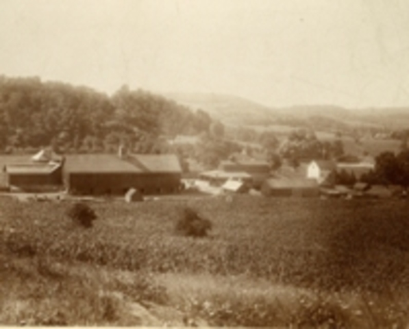 Found Free land in West