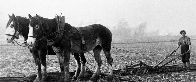 Rotherham Swing Plough