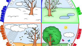 Timeline: 2022 год