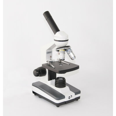 Timeline: HISTORIA DEL MICROSCOPIO