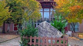 Timeline: Mi vida escolar