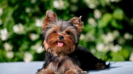 Timeline: Mi vida en el cole