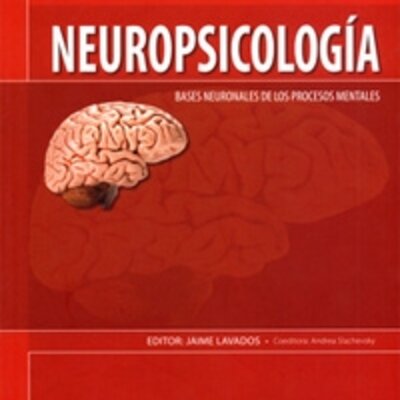 Timeline: La Neuropsicología en el tiempo