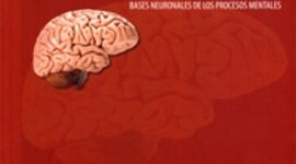 Timeline: La Neuropsicología en el tiempo
