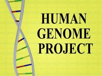 The human genome project