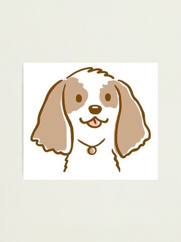 18 años perro nuevo