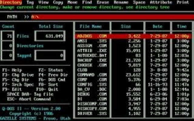 Bill Gates & Paul Allen