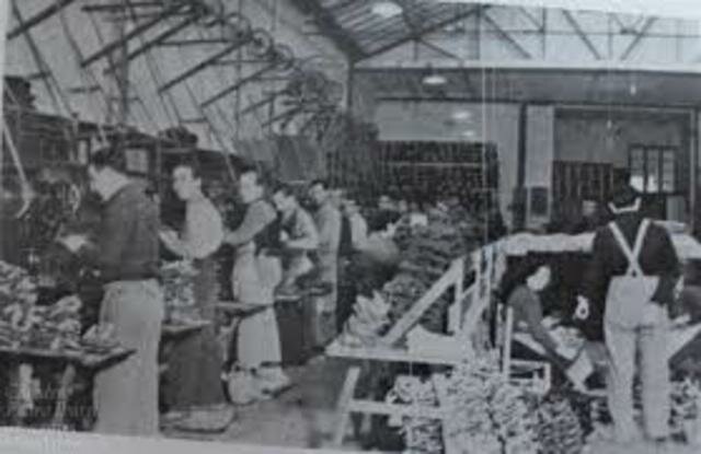 Conceptualización de la logística en los años 50