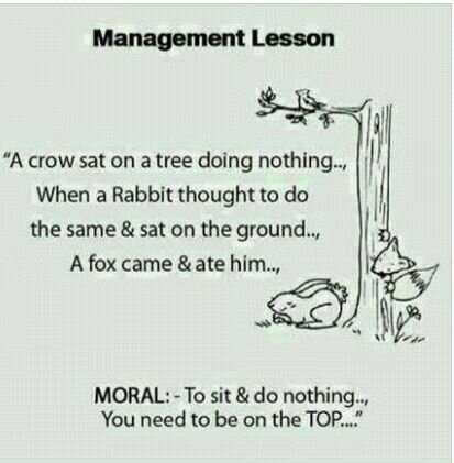 What are some of the aspects of the course you would like to explore deeper?