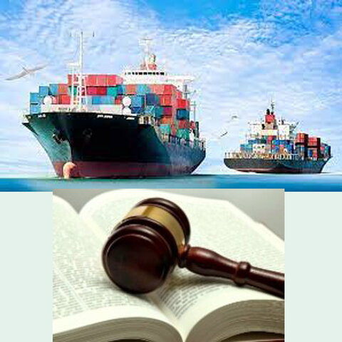 LEY 20.094 Y LEY 20.266