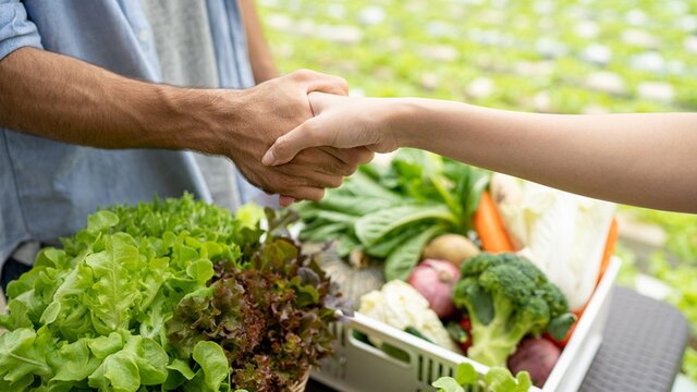 PANORAMA ACTUAL DEL DERECHO COMERCIAL