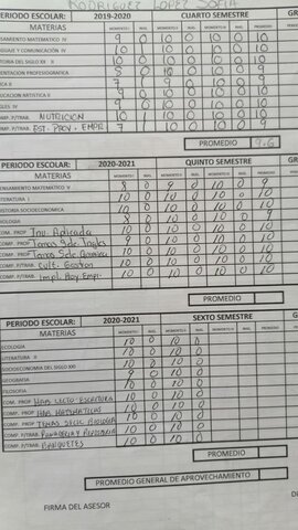 No estuve en cuadro de honor en la prepa