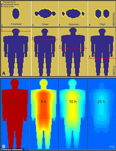 Body temperature used to determine the time of a persons death