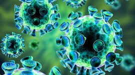 Timeline: Pandemics on History
