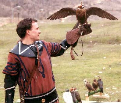 Catería con Halcones