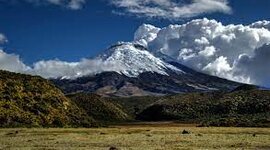 Timeline: Linea del tiempo