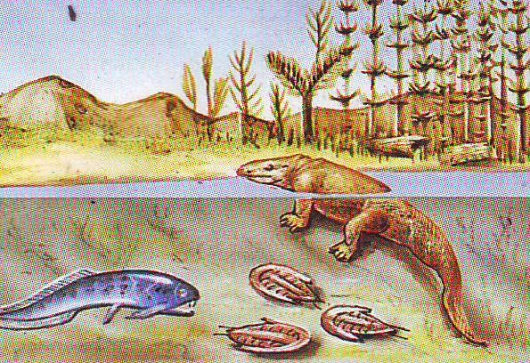 Los animales Terrestres llegaron.