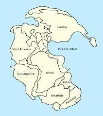 Se fromo Pangea