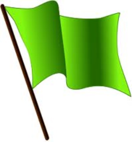 Greem flag (Gutierrez-Magee)