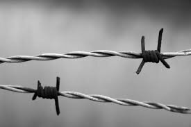 The invention of the barbed wire