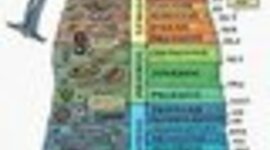 Timeline: Geokronoloogiline skaala veronika pavliuk