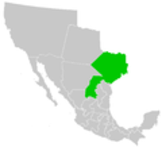 Coahuila y Texas