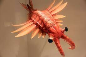 Aparecen: las algas, musgo, animal