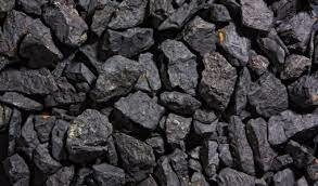 .Las plantas se mueren transformando sus cadaveres en carbon y cubriendose de rocas