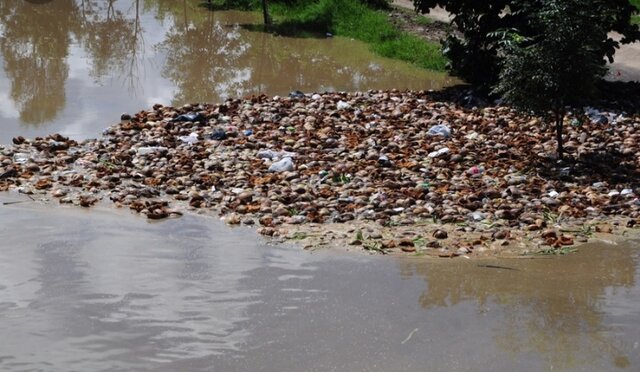 Problemas ambientales