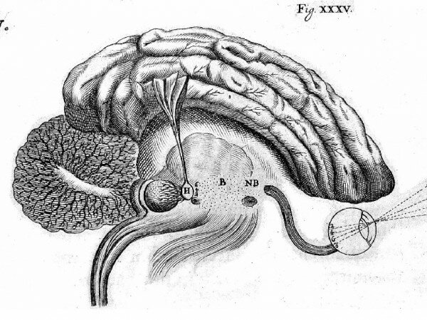 Alejandro Agudelo - Primeros escritos