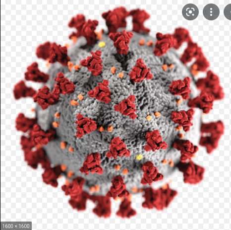 Euskadiko  lehen COVID KASUA